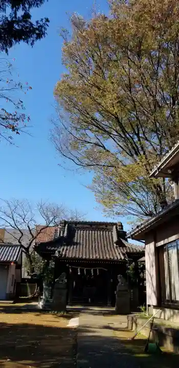 矢切神社の本殿・本堂
