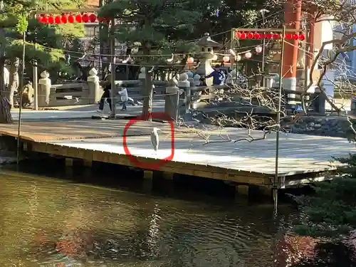 平塚八幡宮(神奈川県)