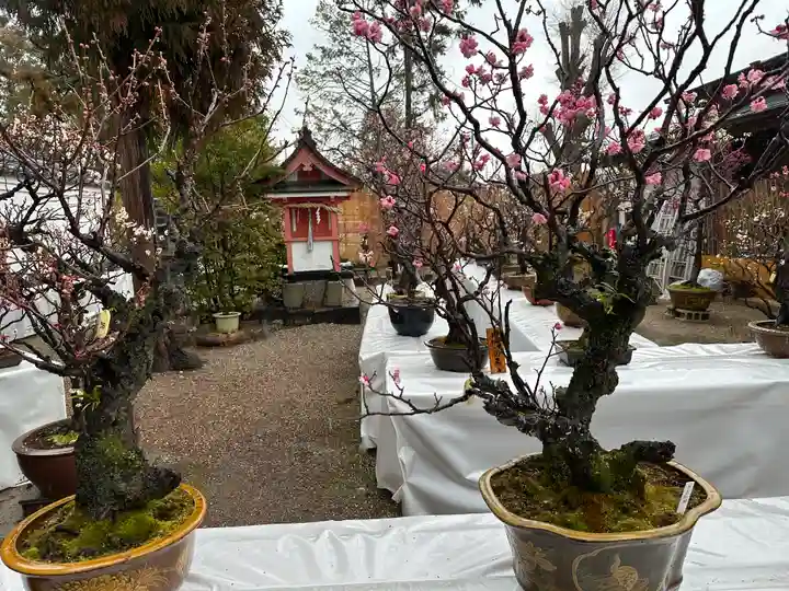 菅原天満宮(菅原神社)の芸術
