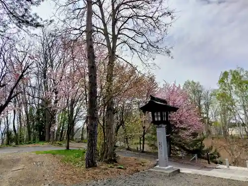 鷹栖神社の自然