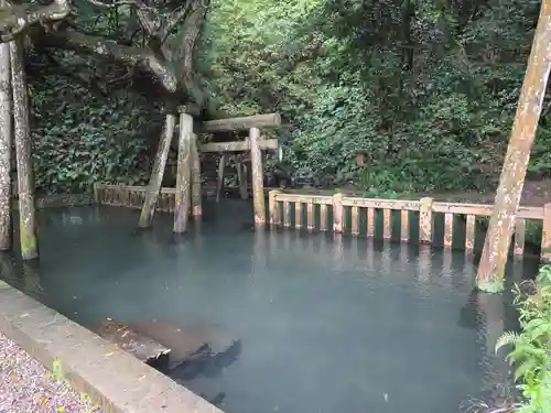鹿島神宮(茨城県)