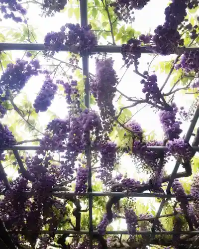 秋葉神社の自然