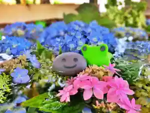 立志神社の手水舎(2021年06月05日(土) 15時01分40秒投稿)