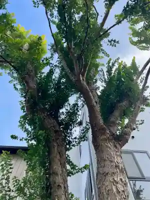 諏訪八幡神社(茨城県)