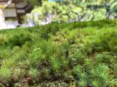 慈照寺（慈照禅寺・銀閣寺）(京都府)