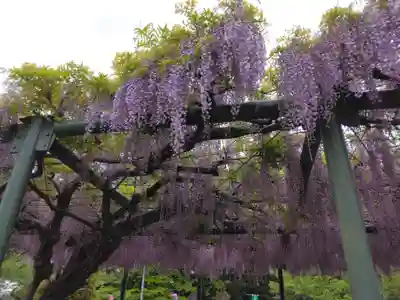 慈恩寺(埼玉県)