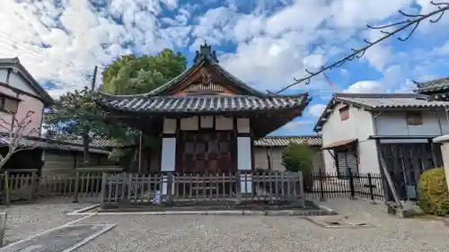 東寺（教王護国寺）(京都府)