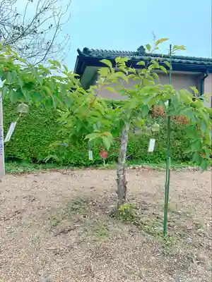 鹿島台神社(宮城県)