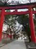 花園神社の鳥居