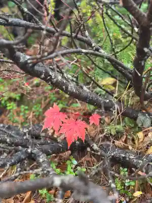 信州駒ヶ岳神社(長野県)
