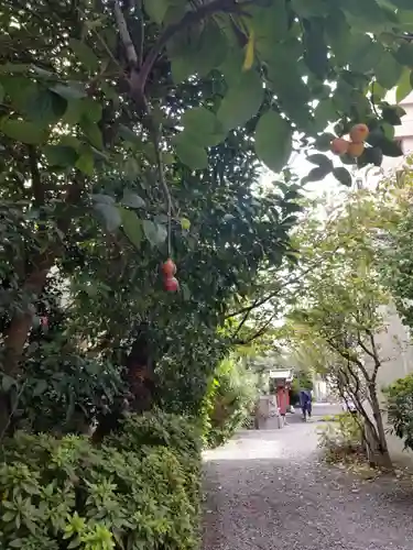 秋葉神社のその他建物