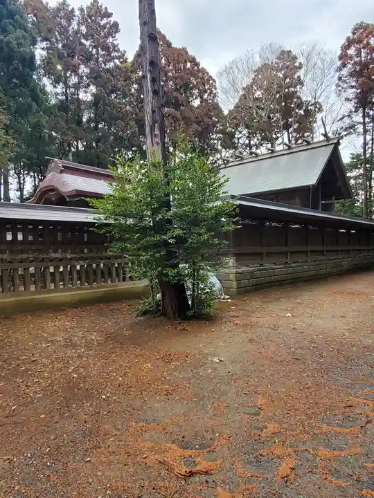 橿原神宮(茨城県)