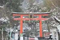 松尾大社の鳥居