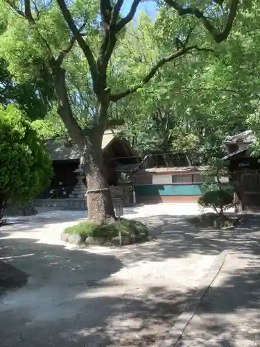 神明社（桜神明社）の自然
