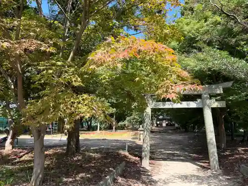 若宮八幡宮(京都府)