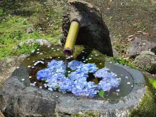 高林寺の手水舎