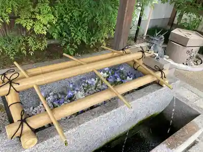 晴明神社の手水舎