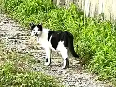 瑠璃寺(長野県)