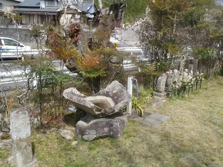 浄心寺(愛知県)