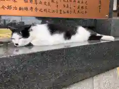 王子神社の動物