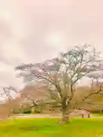 女化神社の自然