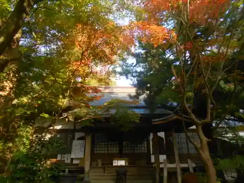 覚園寺の庭園