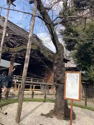 靖國神社(東京都)