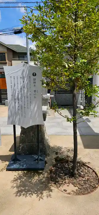 出雲大社埼玉分院の{uncategorized: "未分類", other: "その他", undefined: "問題あり", building: "その他建物", grave: "お墓", sacred_gate: "鳥居", guardian: "狛犬", statue: "像", buddha: "仏像", history: "歴史", nature: "自然", garden: "庭園", animal: "動物", pagoda: "塔", temizu: "手水舎", mountain_gate: "山門・神門", sanctuary: "本殿・本堂", subordinate: "末社・摂社", art: "芸術", scenery: "景色", jizo: "地蔵", ema: "絵馬", goshuin: "御朱印", omikuji: "おみくじ", items: "授与品その他", amulet: "お守り", goshuincho: "御朱印帳", eats: "食事", festival: "お祭り", votive_dance: "神楽", shichigosan: "七五三参", wedding: "結婚式", experience: "体験その他", initially: "初詣", around: "周辺", anti_infection: "感染症対策"}