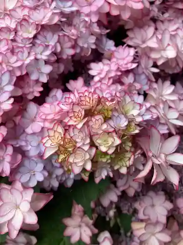 鹿島神社の自然