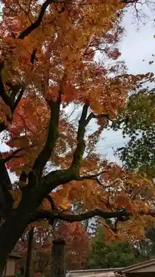安楽寺(京都府)