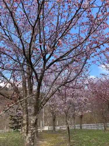 万字山神社(北海道)