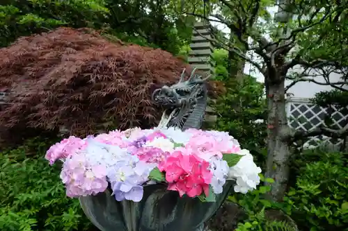 成就院の手水舎