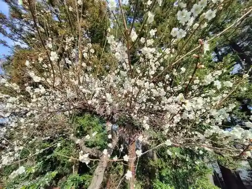 豊景神社(福島県)