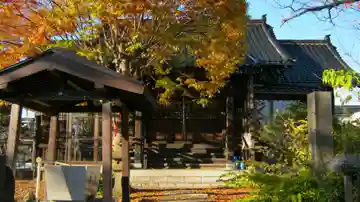 鏡日吉神社の本殿・本堂