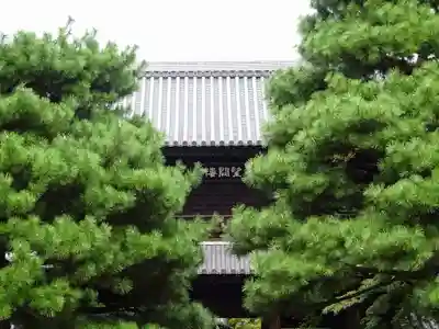 建仁寺(建仁禅寺)の山門・神門