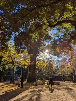 赤坂氷川神社(東京都)