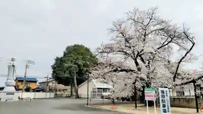長安寺(群馬県)