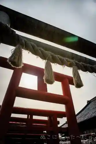 小泉稲荷神社の鳥居