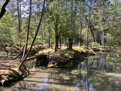 西芳寺(京都府)