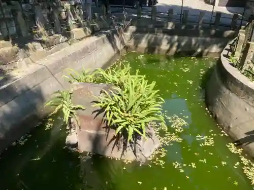 海南神社(神奈川県)