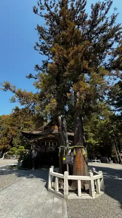 建部大社(滋賀県)