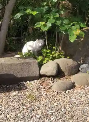 長性寺(東京都)
