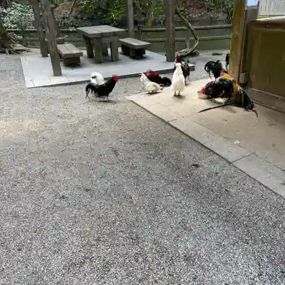 石上神宮(奈良県)