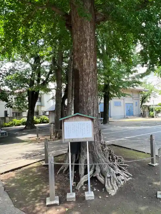 千住神社(東京都)