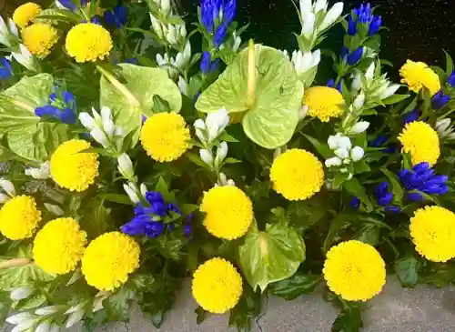 上尾御嶽神社の手水舎