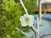 伊勢の国 四天王寺(三重県)