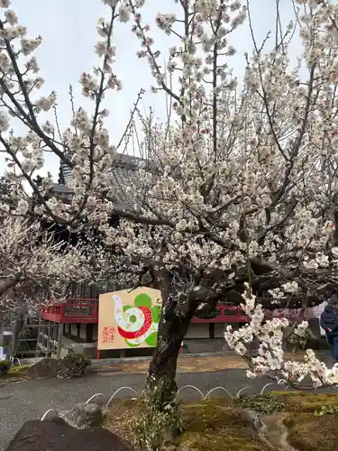 岩津天満宮の自然