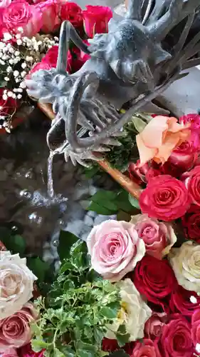 札幌諏訪神社の手水舎