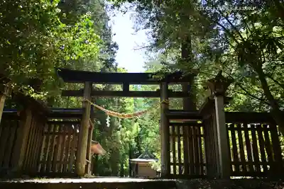 武蔵二宮 金鑚神社(埼玉県)