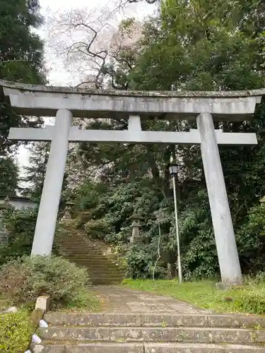 都々古別神社(馬場)の鳥居